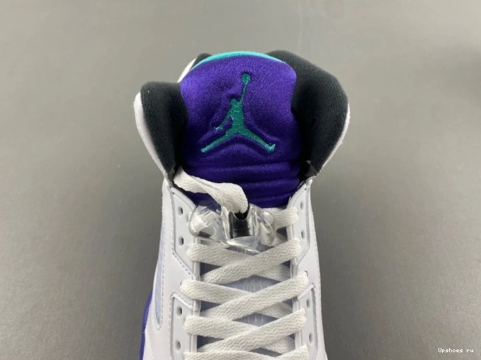 5 Jordan (2025)    Retro HQ7978-100 Grape  1103